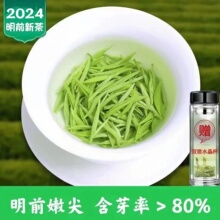 毛尖信阳茶叶2024新茶绿茶浓香型一级河南正宗春茶嫩芽茶散装嫩芽