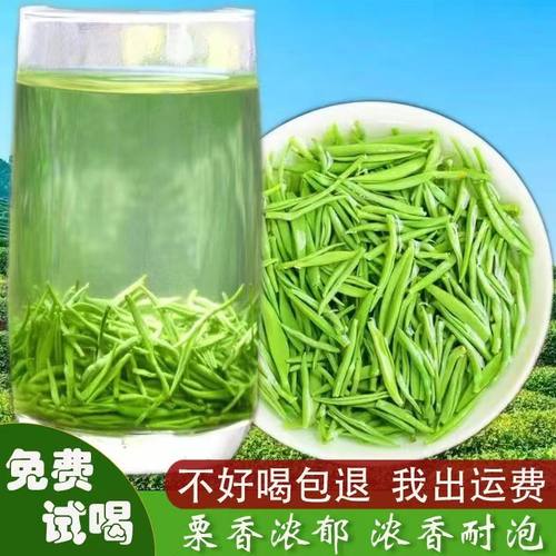 信阳毛尖茶叶2025新茶叶