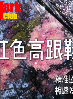 红色高跟鞋 蔡健雅 扒谱 萨克斯谱 单簧管 长笛 小号 小提琴 伴奏