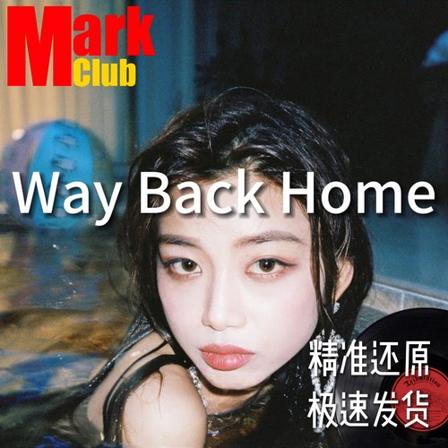 Way Back Home 扒谱服务 萨克斯谱 单簧管谱 长笛谱 小提琴 伴奏