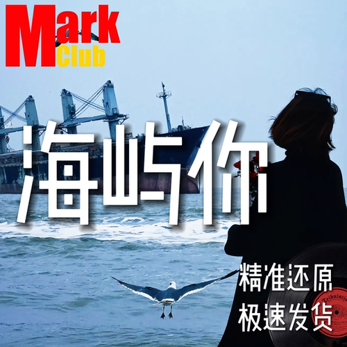 海屿你 扒谱定制 萨克斯谱 单簧管谱 长笛谱 小号 小提琴谱 伴奏