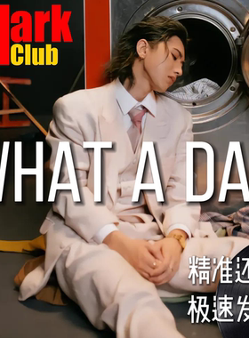 What a Day 蔡徐kun 萨克斯谱 单簧管 长笛谱 小号 小提琴 伴奏