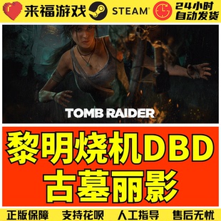 Steam正版 黎明DBD 古墓丽影DLC Tomb Raider 国区激活码 CDKEY