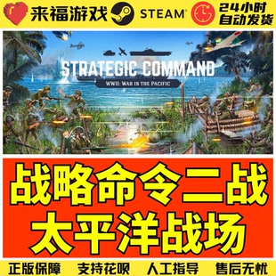 Steam正版 战略指挥二战太平洋战场 War in the Pacific 激活码