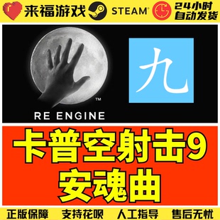 激活码 Steam正版 国区KEY 射击游戏 CDKey 卡普空大作9安魂曲