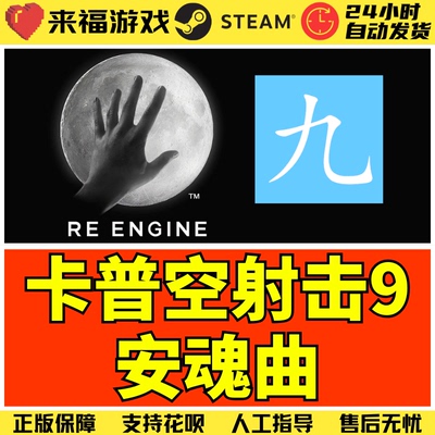 Steam正版 卡普空大作9安魂曲 射击游戏 国区KEY 激活码 CDKey