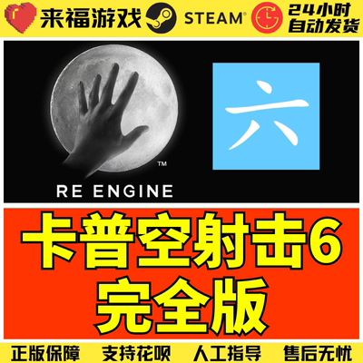 Steam正版 卡普空大作6完整版 完全版 射击游戏 国区激活码 CDKey