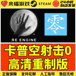 Steam正版 卡普空大作0高清重制版 中文射击游戏 国区激活码CDKey