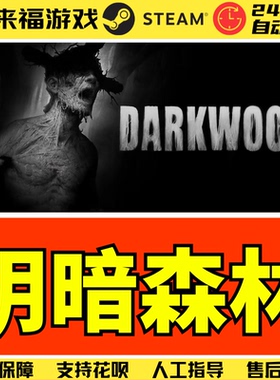 Steam正版 阴暗森林1 DARKWOOD 恐怖游戏 中文 国区激活码 CDKey