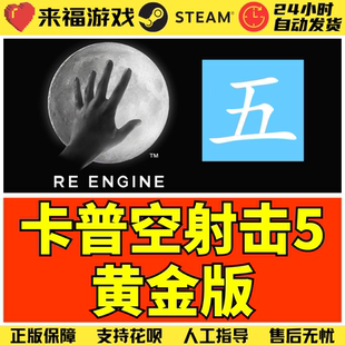 Steam正版 卡普空大作5黄金版 射击游戏 RE5 国区激活码 CDKey