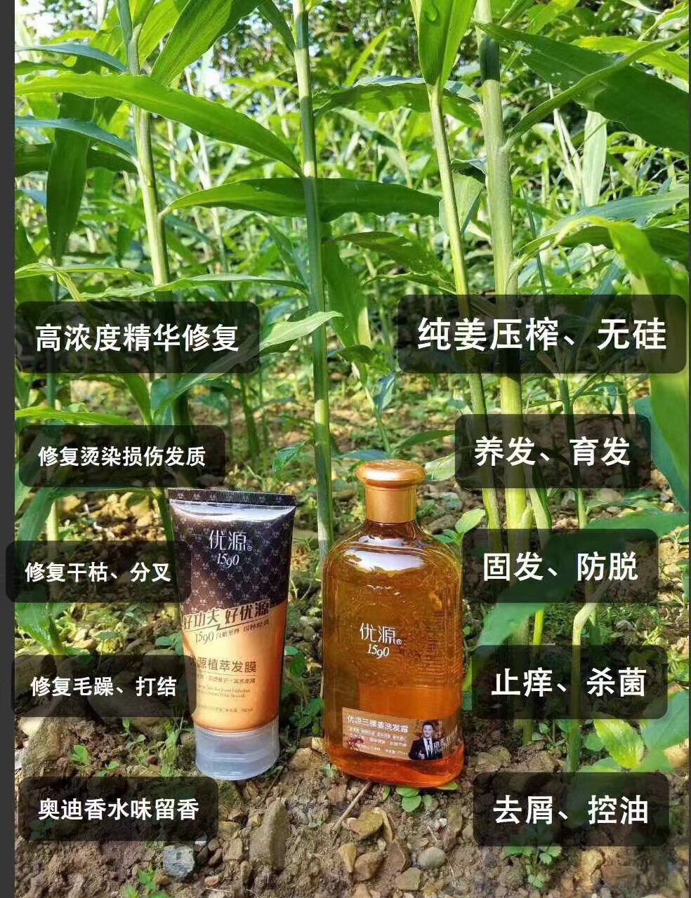 优源三棵姜止痒、杀菌、清洁头皮洗发露套装