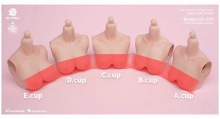 Worldbox女素体大胸替换件配件D罩杯E罩杯 适配AT201 AT202 AT203