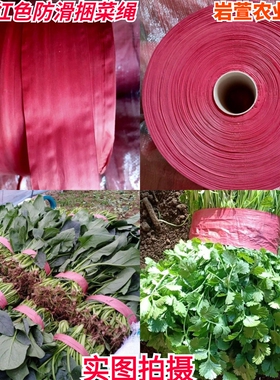 红色再生料大棚蔬菜专用绳帮带捆绑带塑料捆扎绳农用香菜宽包装绳