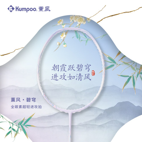 薰风进攻拍碳素入门级