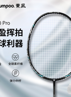 薰风k520PRO羽毛球拍全碳素超轻耐用型初学者训练日常单拍熏风