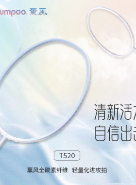 薰风全碳素纤维羽毛球拍