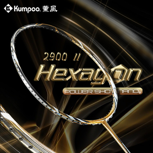 薰风2025新款羽毛球拍2900二代全碳素单拍全能均衡型羽拍熏风正品