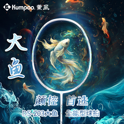薰风碳素纤维通用羽毛球拍