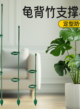 花架龟背竹支撑杆花卉植物固定神器绿植支撑架防倒伏支架花盆园艺