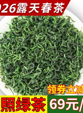 2026年新茶日照绿茶山东炒青绿茶正宗原产浓香型板栗香袋装散装
