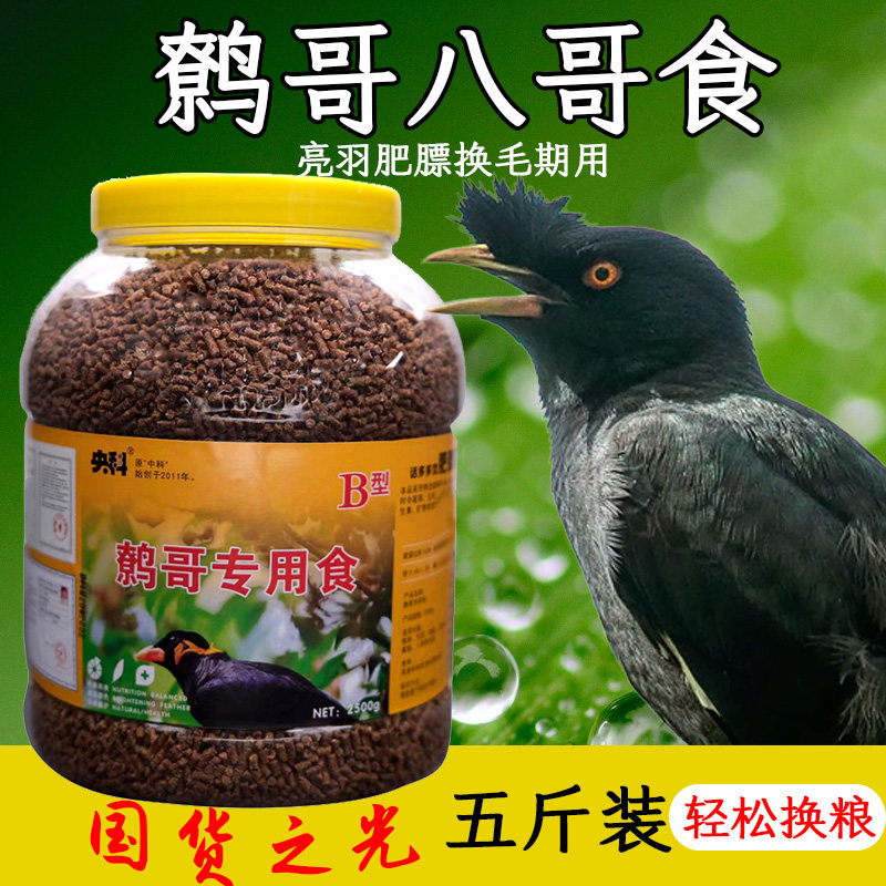 央科B型八哥鹩哥鸟食饲料粮换毛期料肥膘亮毛高营养蛋白学舌开口