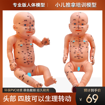小儿推拿模型仿真娃娃教学模型