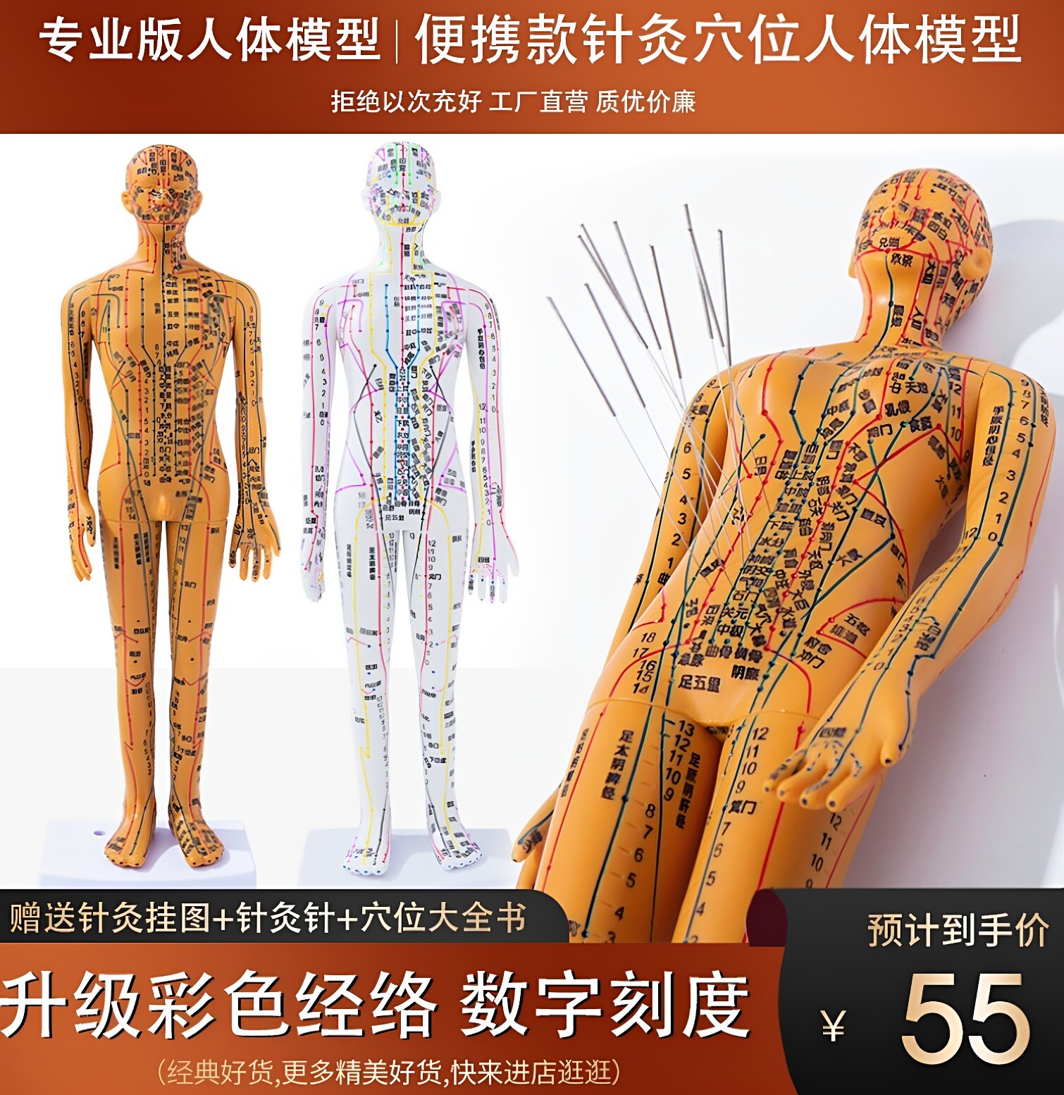 便携式针灸穴位人体模型人耳朵穴位手脚模型玩具针灸练习扎针皮肤