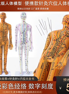 卓越便携针灸穴位人体模型