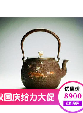 进口铸铁壶日本原装技术铁壶纯手工无涂层煮茶泡茶铁壶烧水铁壶
