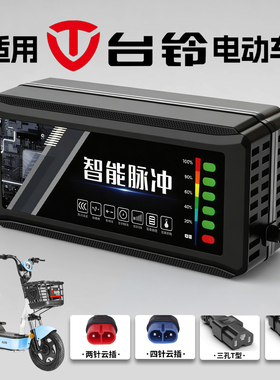 适用台铃电动车充电器电瓶48V12AH60V72V20A新国标插头石墨烯通用