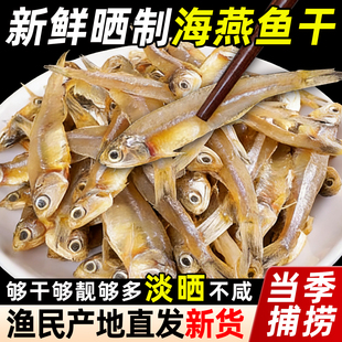 渔民自晒公干鱼无盐小鱼干野生小干鱼海鲜干货海燕鱼白凡鱼咸鱼干