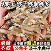 鱼干干货新鲜自捕海燕深海鱼仔银鱼淡水淡晒水产原味小鱼晒干鲜活