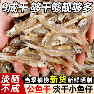 渔民自晒公干鱼无盐小鱼干野生小干鱼海鲜干货海燕鱼白凡鱼咸鱼干