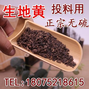 正宗生地黄500克包邮 滋补焦作四大怀药投料用熟地黄颗粒地黄野生