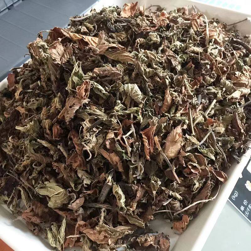 新鲜仙草干粿草正宗高胶纯叶凉粉原材料全叶黑凉粉龟苓膏无硫原料