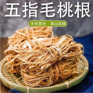 野生五指毛桃土茯苓茶干货无硫椰香浓郁农家煲汤靓料泡酒牛奶根