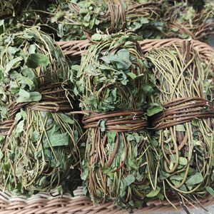 广东阳江无硫带叶鸡骨草干货
