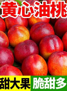 现摘硬脆甜桃麻点黄心红油桃无毛陕西大荔应季新鲜水果头茬大果4J