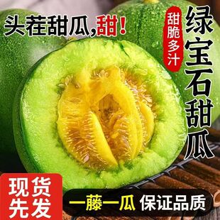 山东绿宝石甜瓜新鲜水果头茬香瓜当季时令小甜瓜脆瓜大瓜现摘现发