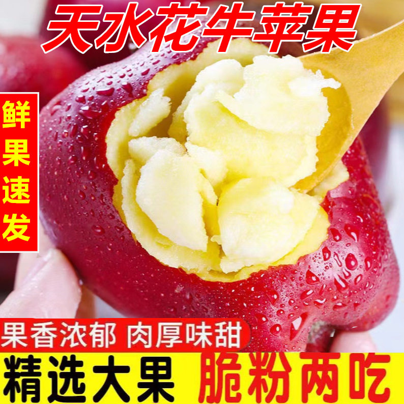 苹果新鲜水果甘肃天水花牛粉面香苹果