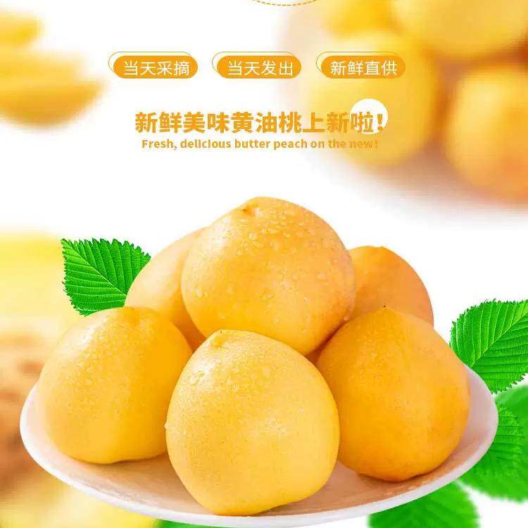现摘黄金油桃脆甜新鲜水果整箱黄心桃子无毛精选特级大果纯甜5斤