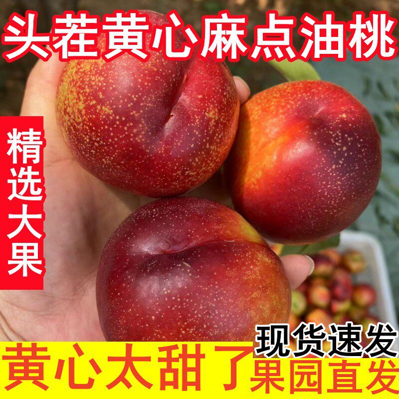 陕西大荔硬桃黄桃红桃脆桃油桃无毛桃子新鲜水果精选商超品质大果