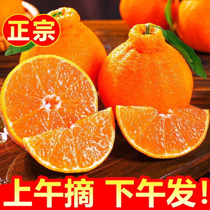 精选四川丑橘桔子新鲜孕妇水果当季橙子丑甜柑橘爆汁精选优质大果,水产肉类/新鲜蔬果/熟食,桔子,淘宝优惠券,粉丝福利购,淘宝优惠卷