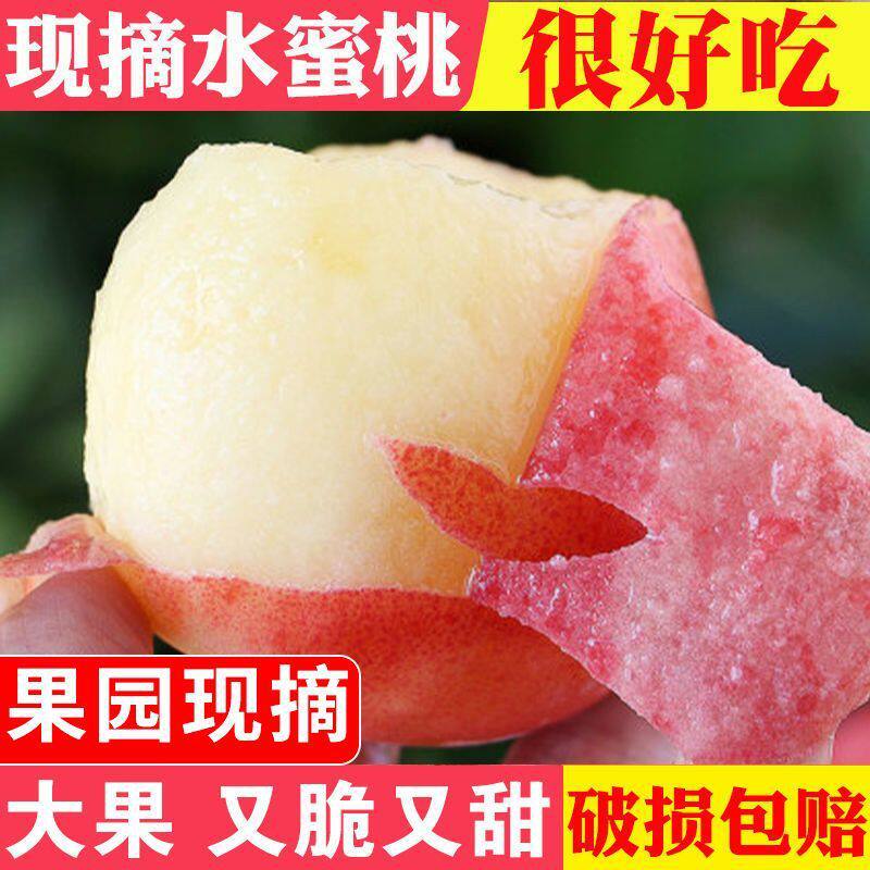 孕妇水果整箱包邮大果陕西大荔水桃