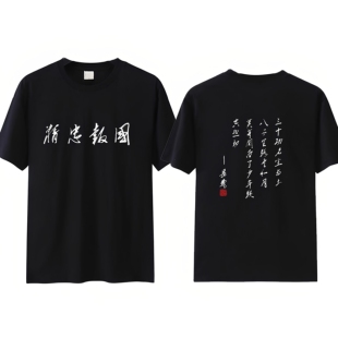 岳飞满江红怒发冲冠古诗文字中国风短袖t恤精忠报国男女爱国衣服