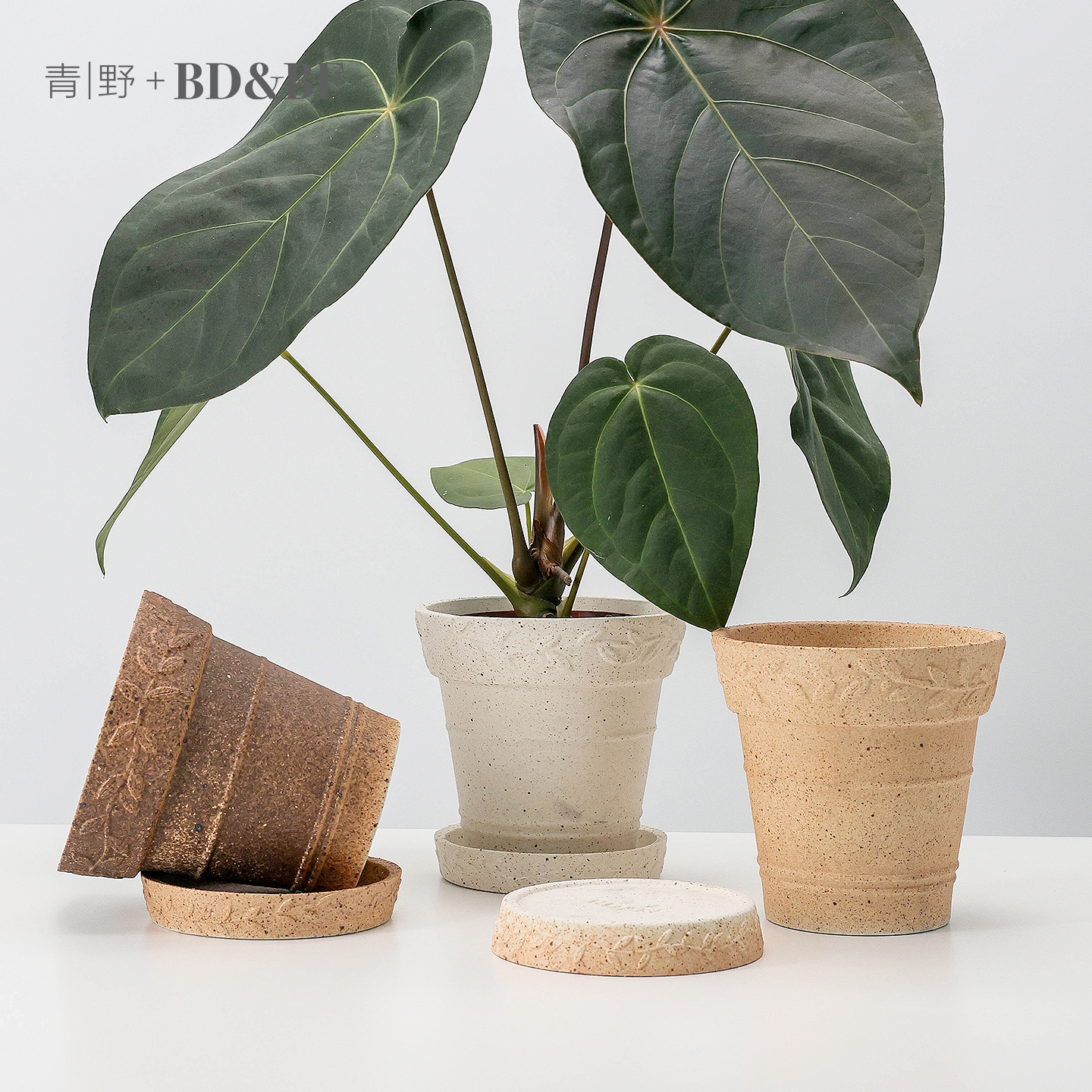 高温粗陶盆月桂花环系列，复古感