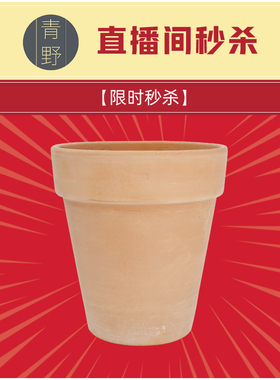青野【直播间福利款秒杀】deroma宽边高盆白陶22cm纹理不清晰