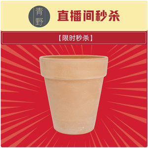 青野【直播间福利款秒杀】deroma宽边高盆白陶22cm纹理不清晰
