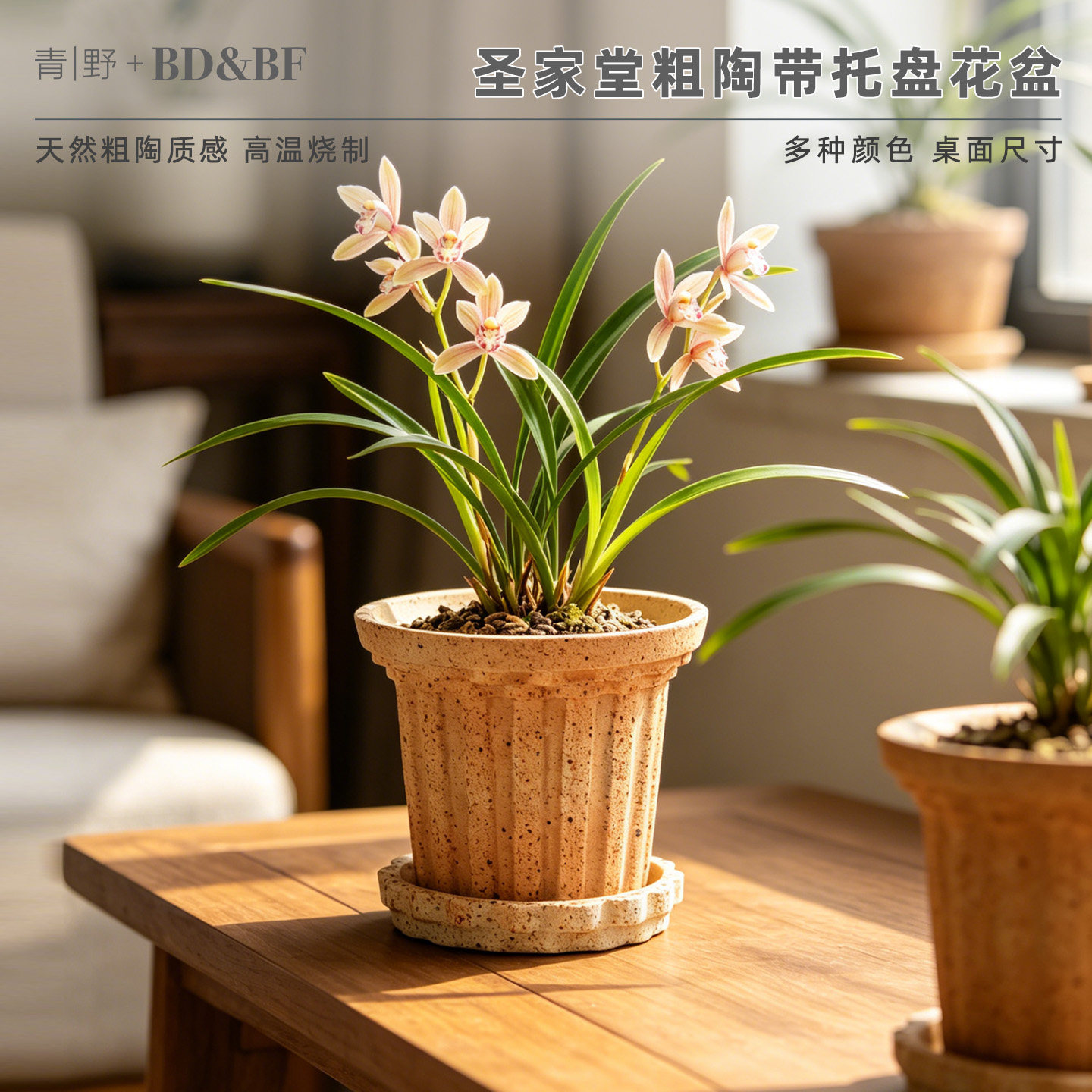青野园艺家圣家堂 粗陶花盆红陶土盆透气粗陶花盆简约家用带托盘