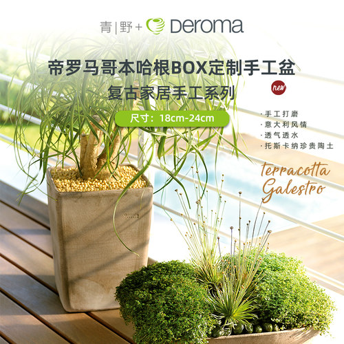 deroma托斯卡纳陶土哥本box预售
